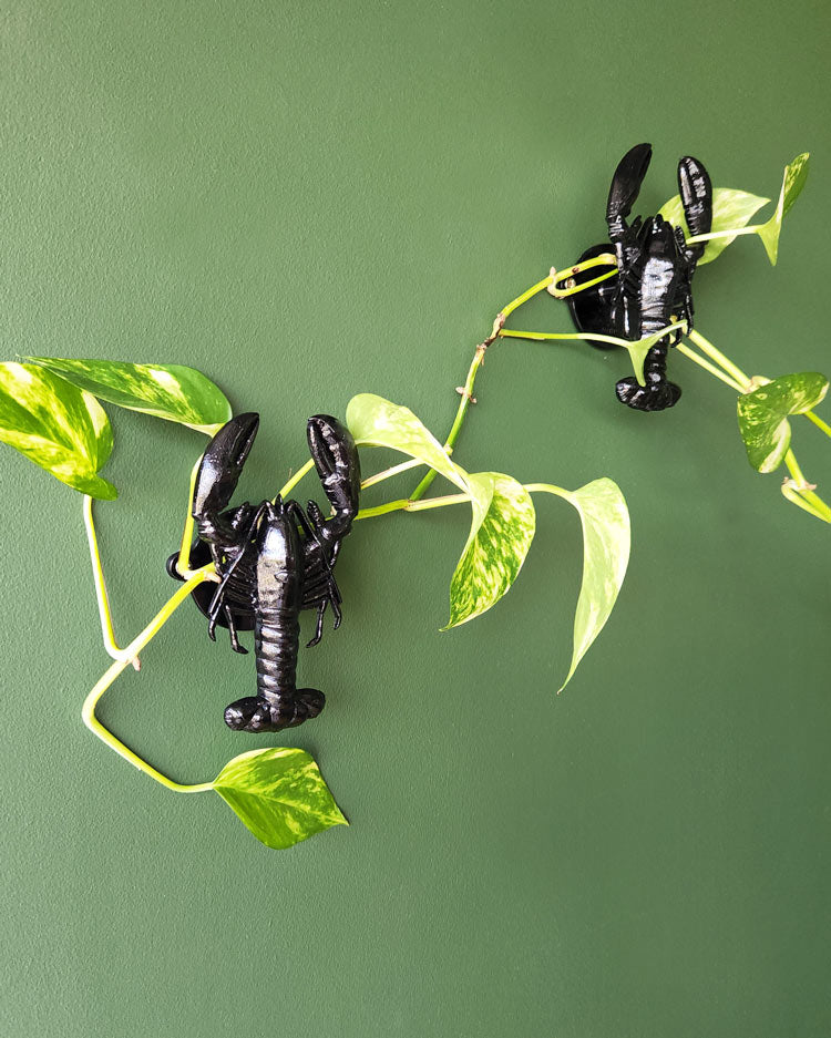 By John Designs Black lobster crayfish wall or coat hook