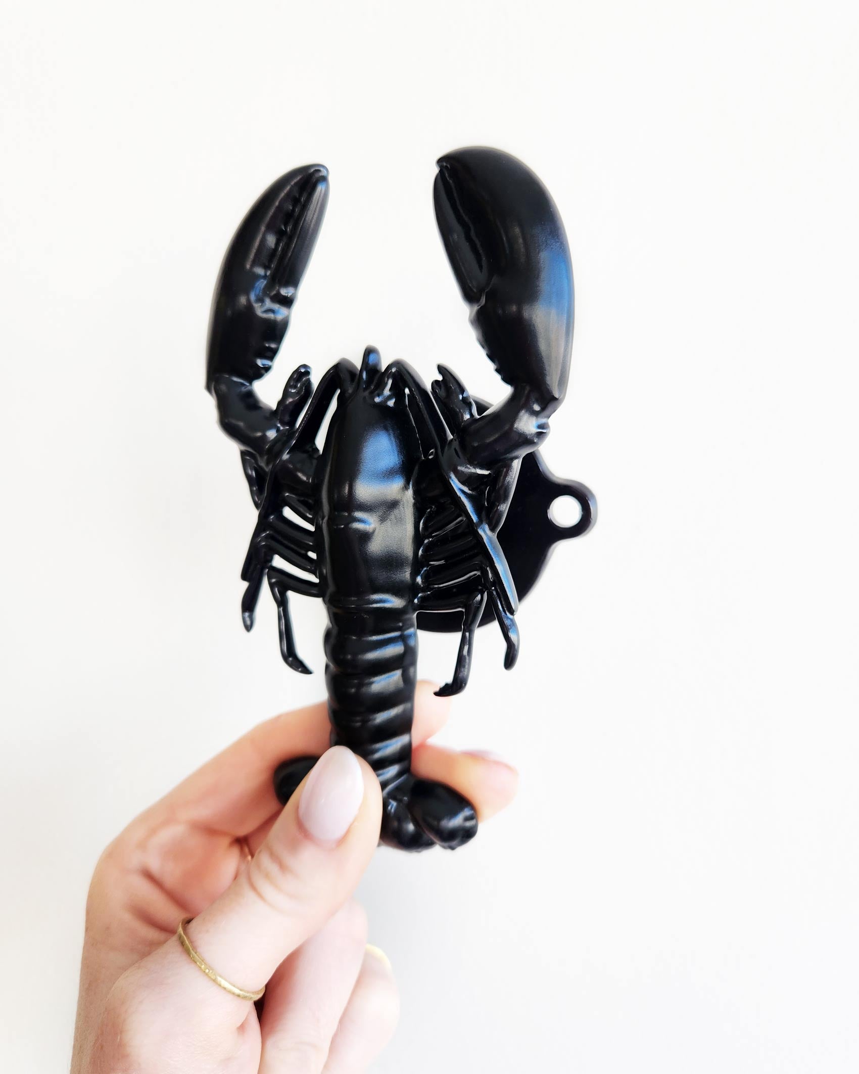 Matt Black Lobster wall Hook By John Designs