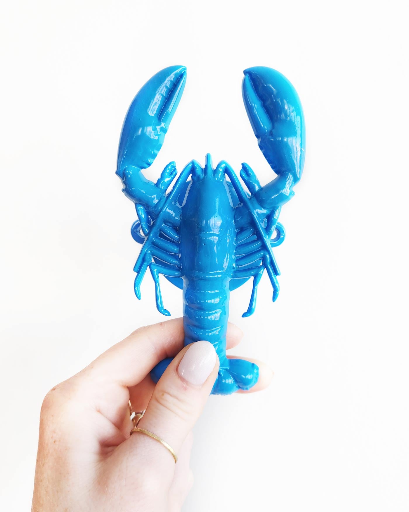Blue Lobster wall Hook By John Designs
