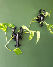 Load image into Gallery viewer, By John Designs Black lobster crayfish wall or coat hook
