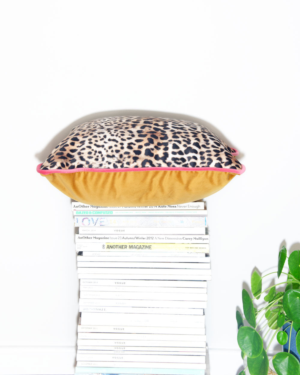 Leopard Print & Gold Velvet Scatter Cushion 50 x 50cm