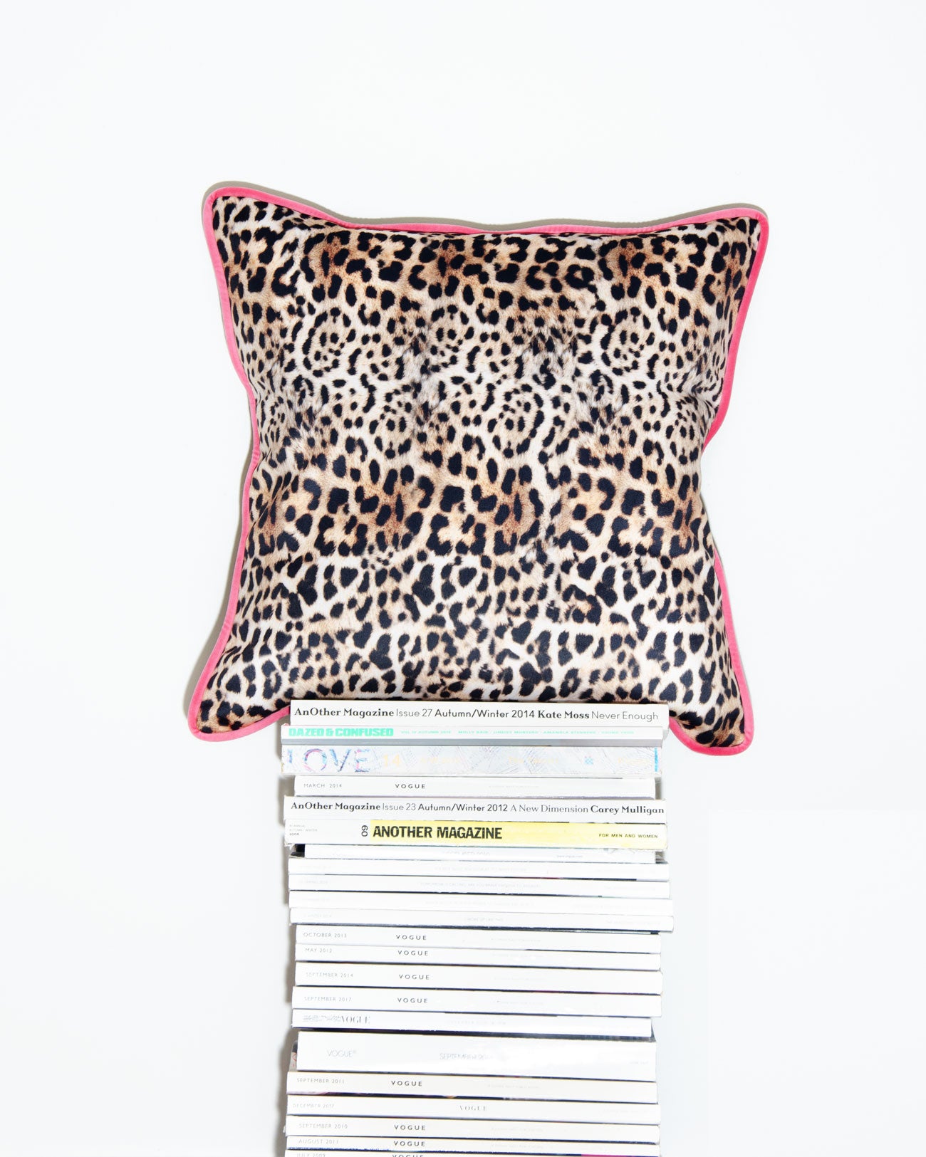 Leopard Print & Pink Velvet Scatter Cushion