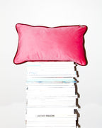 Mini Pink Velvet Scatter Cushion