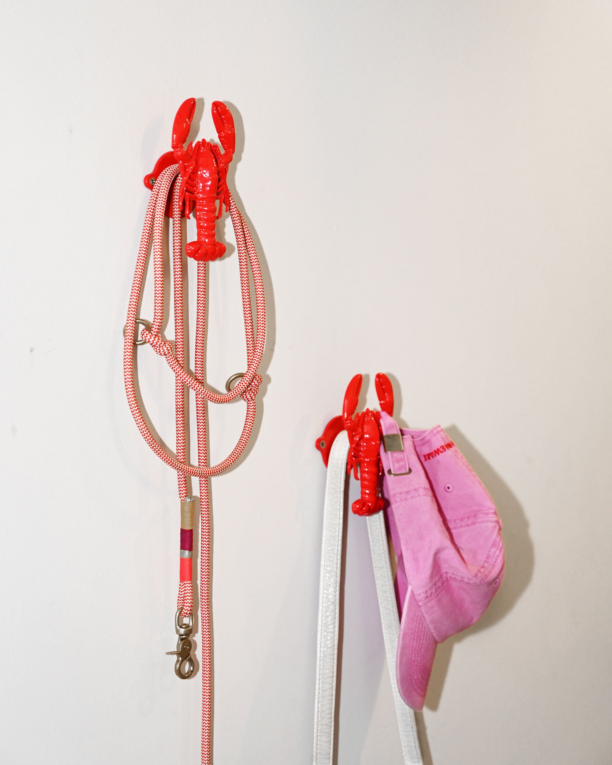 Lobster Wall Hook 🦞